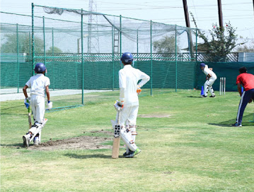 Sports_Cricket